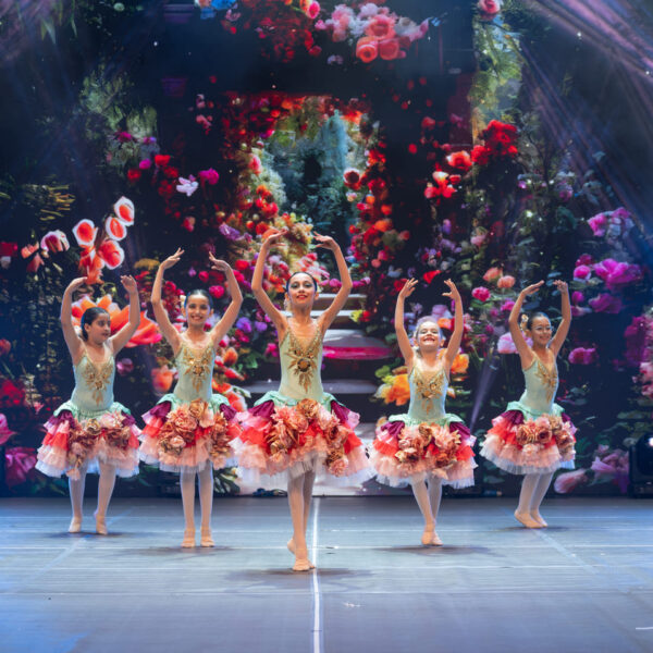 D24_10914-scaled-min