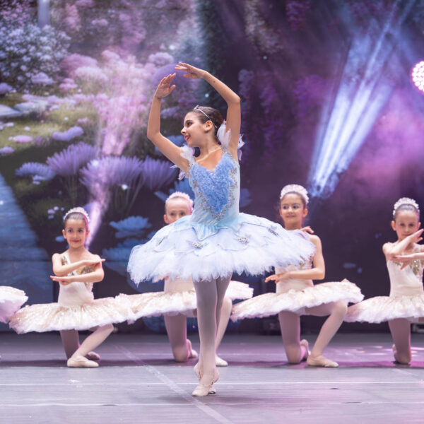 D24_11692-scaled-min