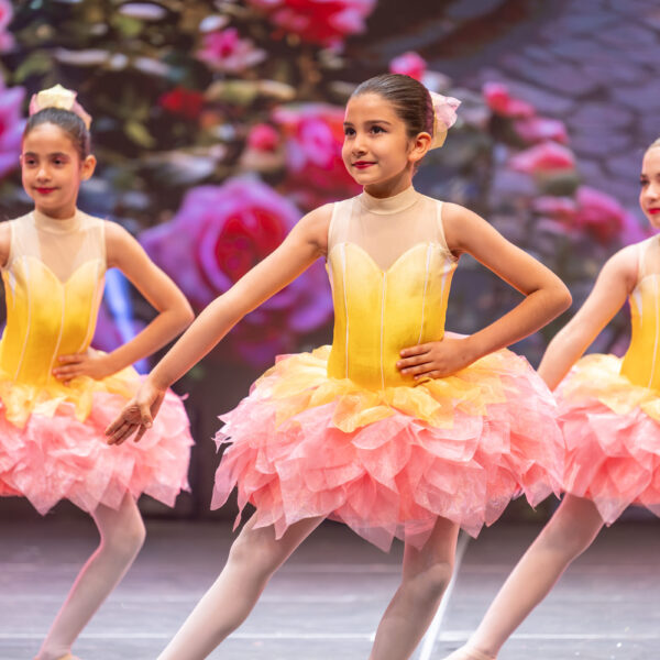 S24_14819-scaled-min