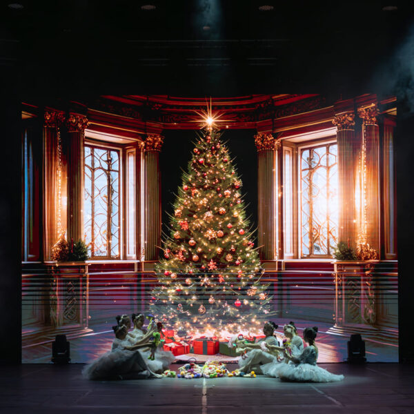 Y24_09910-scaled-min