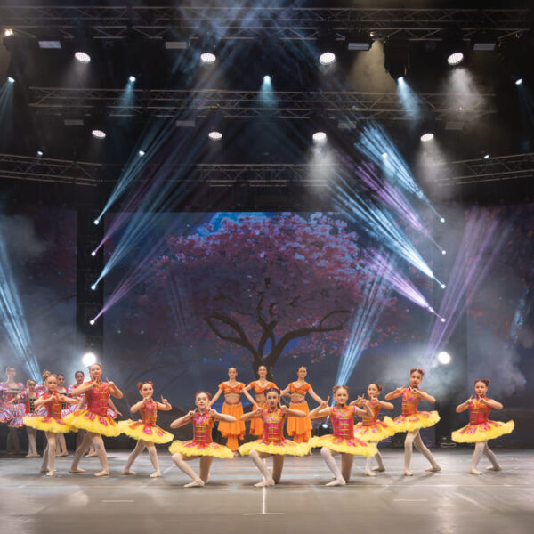 Y24_10267-scaled-min