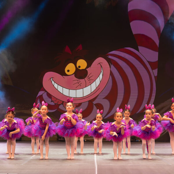 Z24_08438-scaled-min